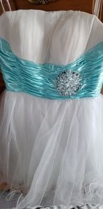 Dancing Queen White + Mint Tulle Dress